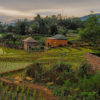vietnam7