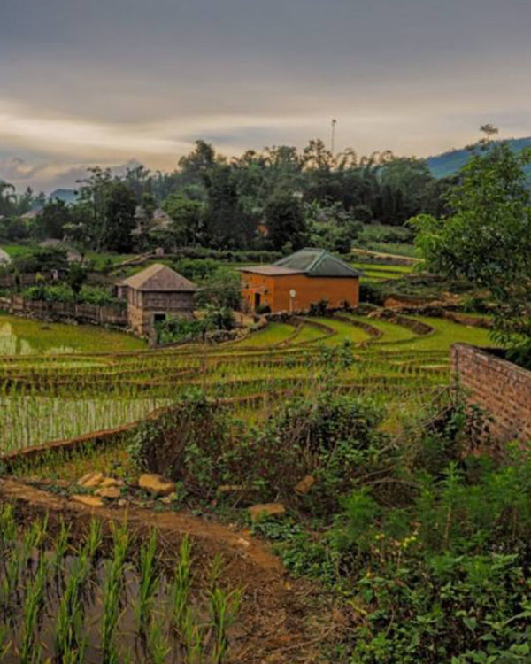 vietnam7