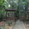 Taman_Negara1