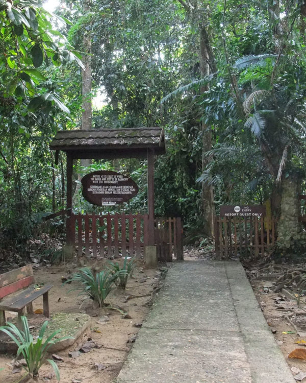 Taman_Negara1