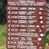 Taman_Negara14