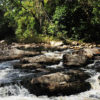 Taman_Negara2
