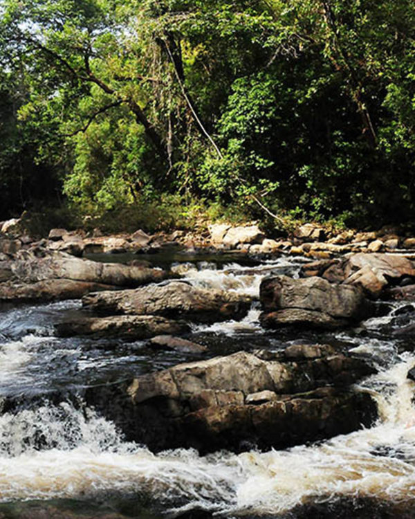 Taman_Negara2