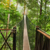 Taman_Negara3