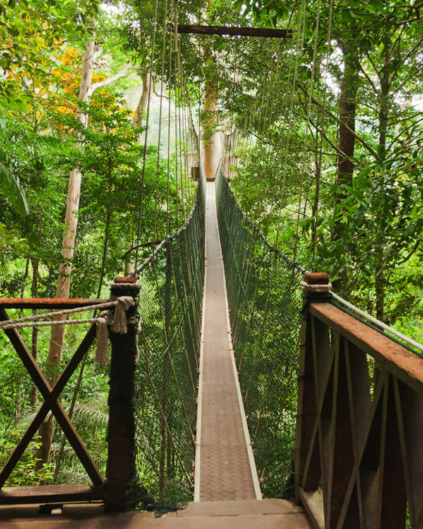 Taman_Negara3