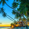 Thiet5