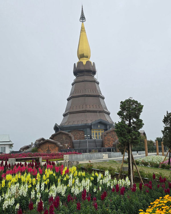 2d_Thai23