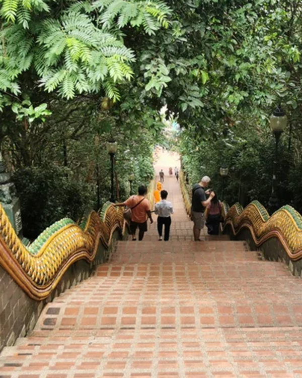 2d_Thai5