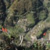 Madeira1