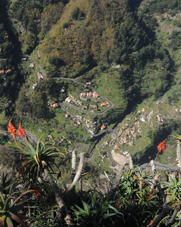 Madeira1
