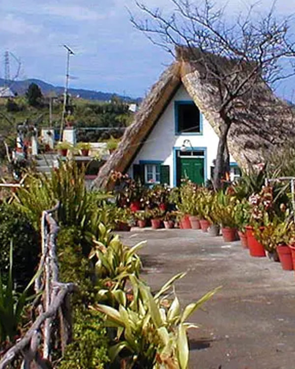 Madeira3