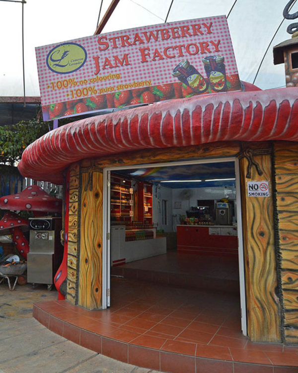Rafflesia18